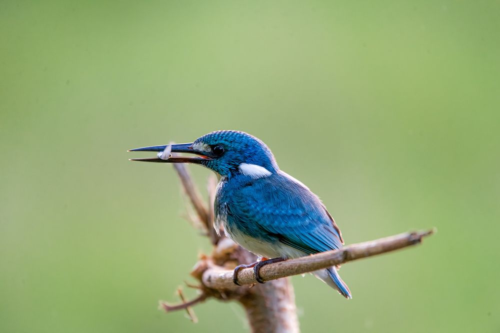 Photograph by Ari Susianto