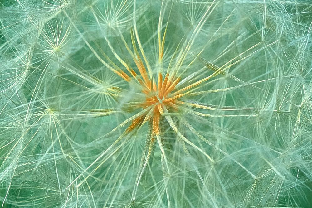 Photograph by Андрей Халемонец