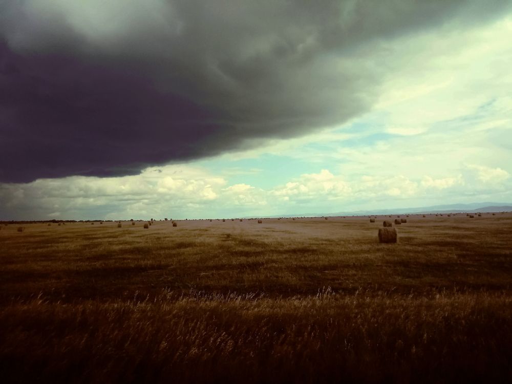 Photograph by PROST