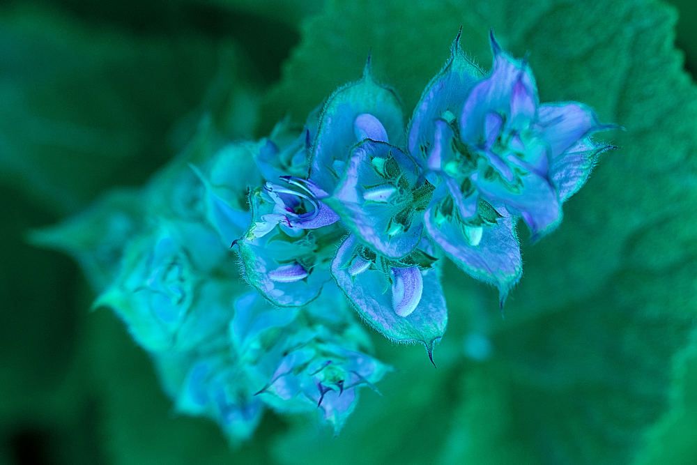 Photograph by Андрей Халемонец