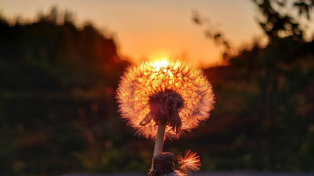 Photograph by Svetlana Porokhovnikova