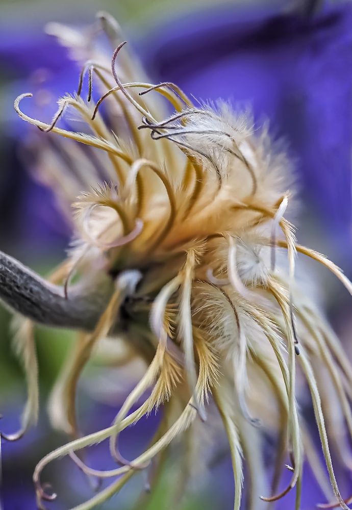 Photograph by Савчук Анатолий