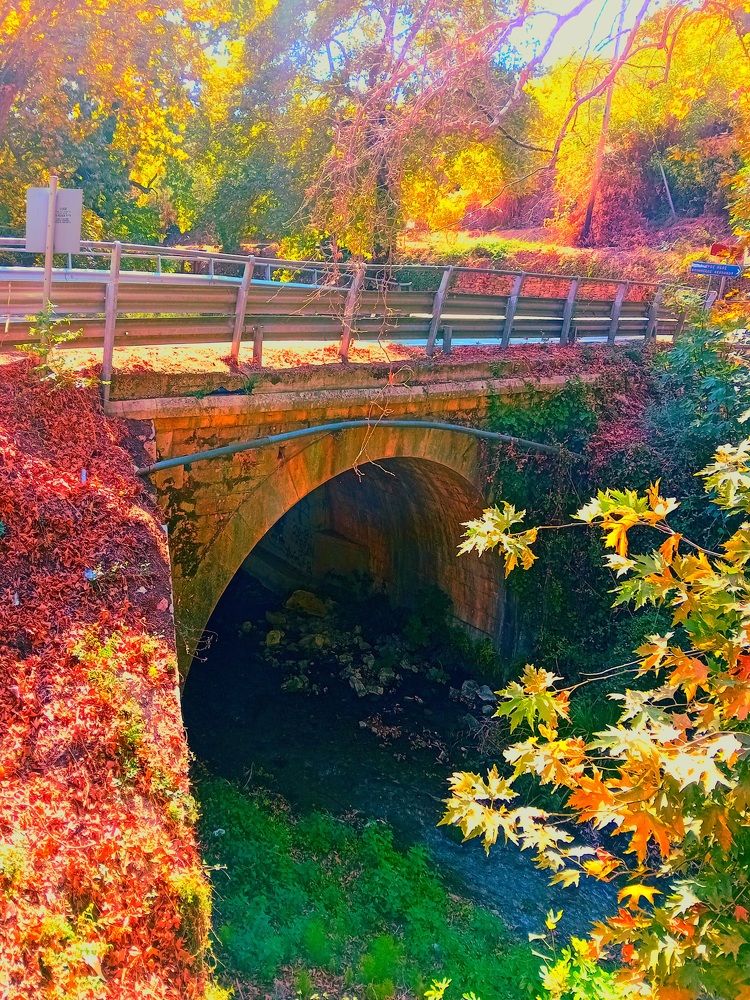 Autumn bridge