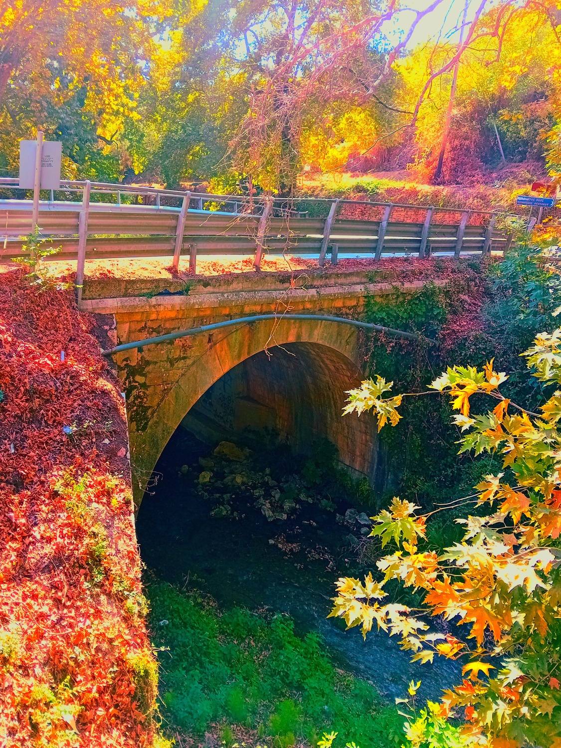 Autumn bridge