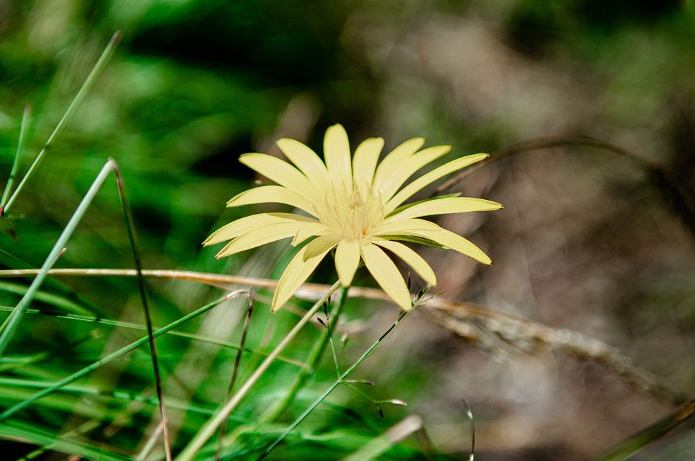 Photograph by Ангелина Ларина