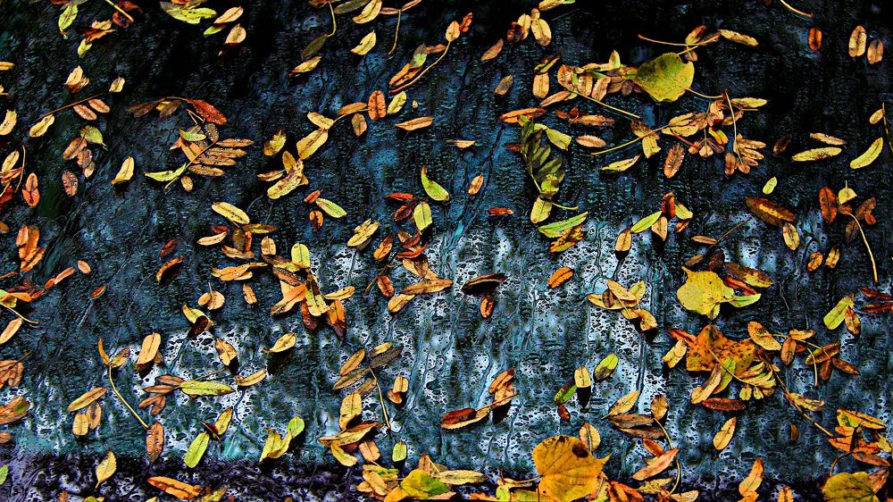 Photograph by эдуард петруша