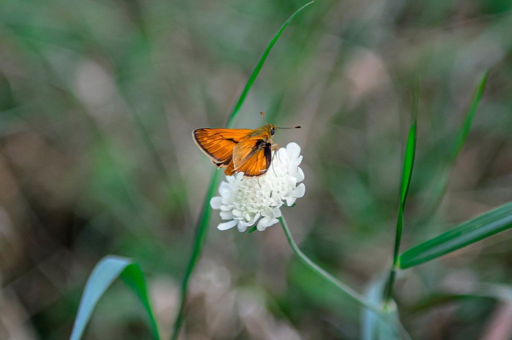 Photograph by Ангелина Ларина