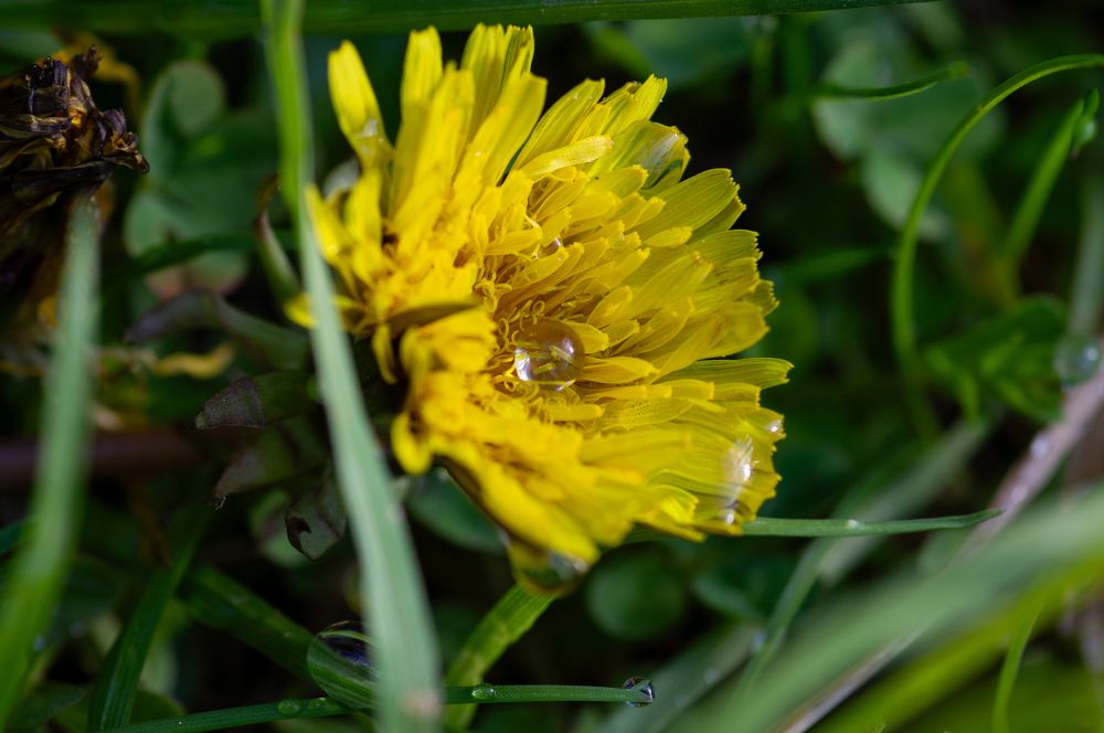 Photograph by Максим Захаров