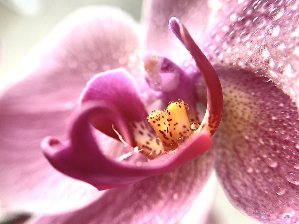 Photograph by Ольга Осинина