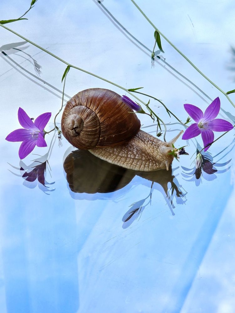 Photograph by Галина Левина