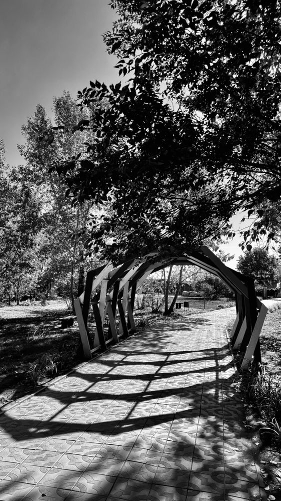 Photograph by Ольга Белоусова