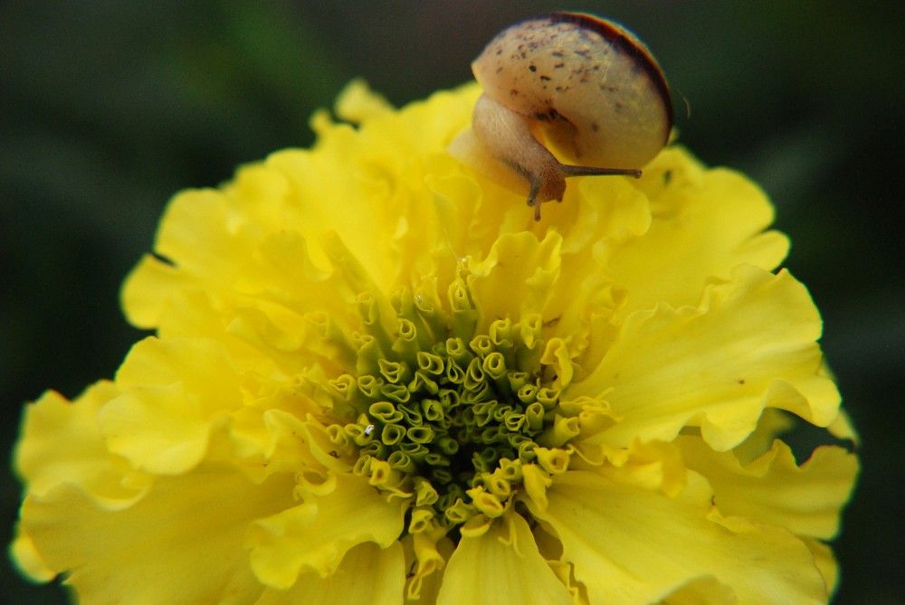 Photograph by Ася Батурина