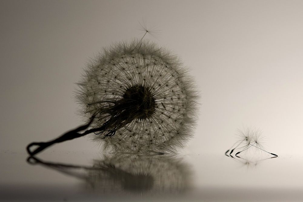 Фотография автора Viktoriya Kim