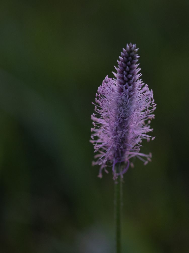 Photograph by Елена Акимова