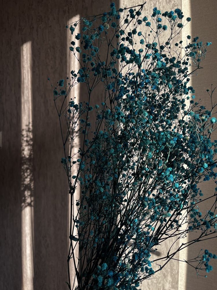 Photograph by Ольга Белоусова