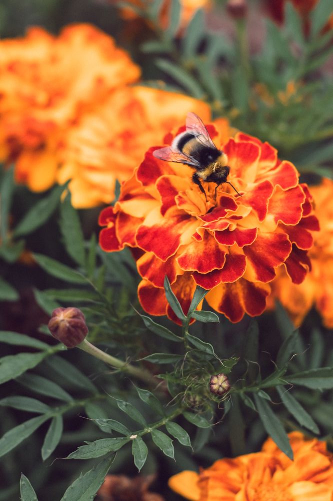 Photograph by Евгения Бородина