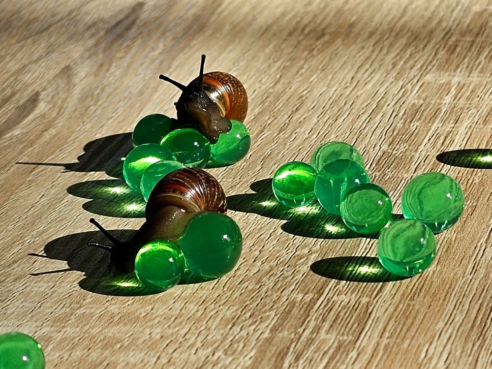 Photograph by Галина Левина