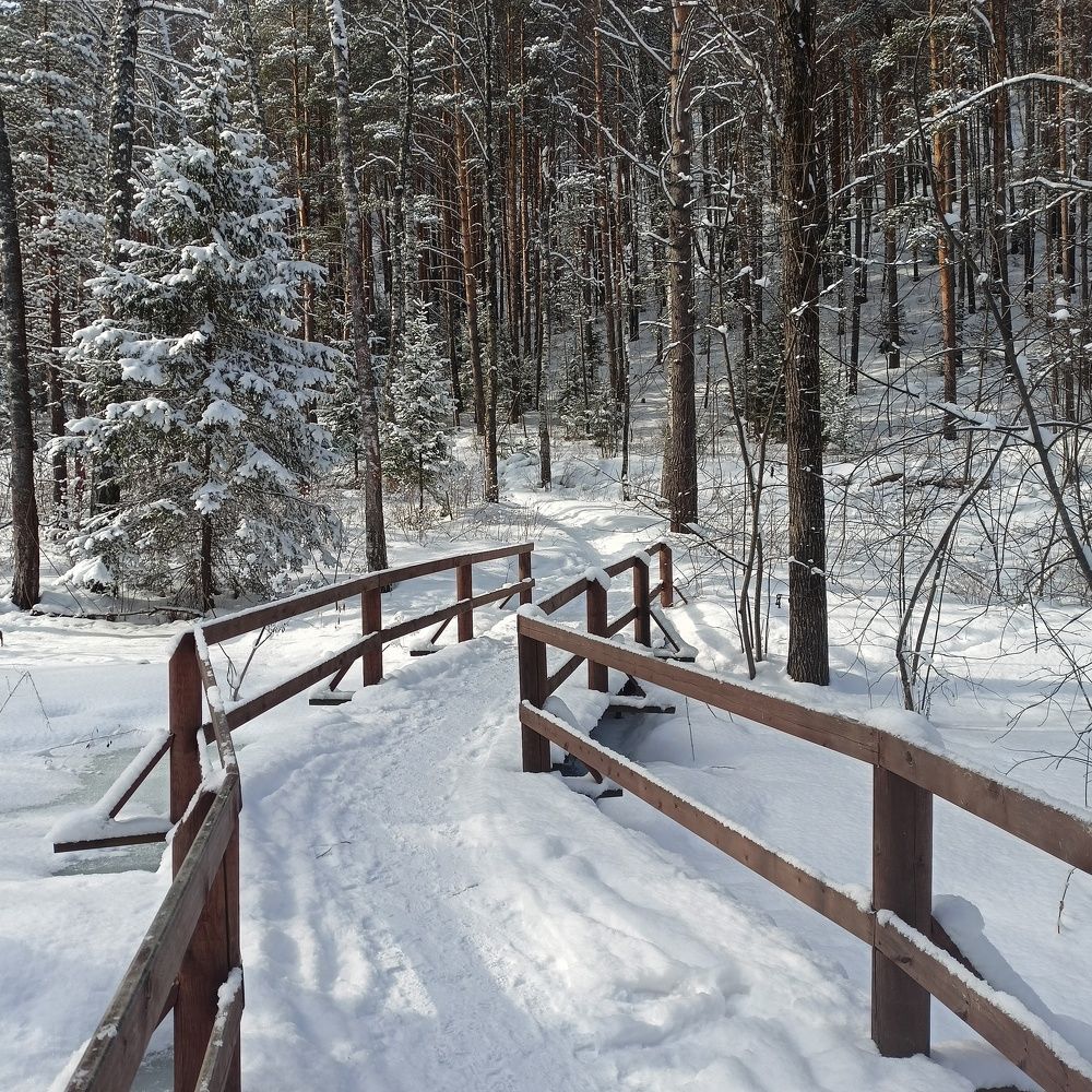 Мост в зиму