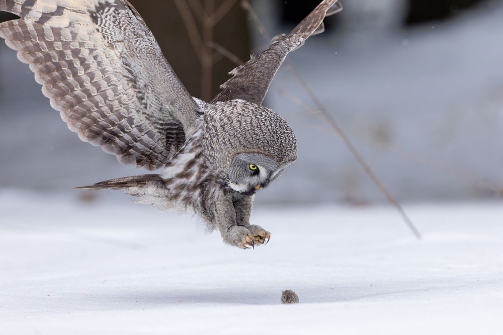 Photograph by Антон Науменко