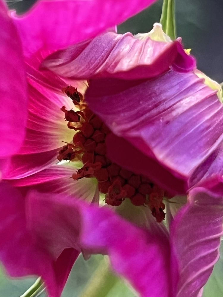 Photograph by Екатерина Букаева