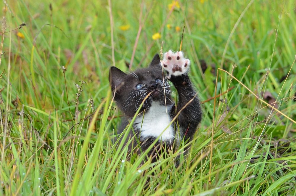 Photograph by Галина Катанова