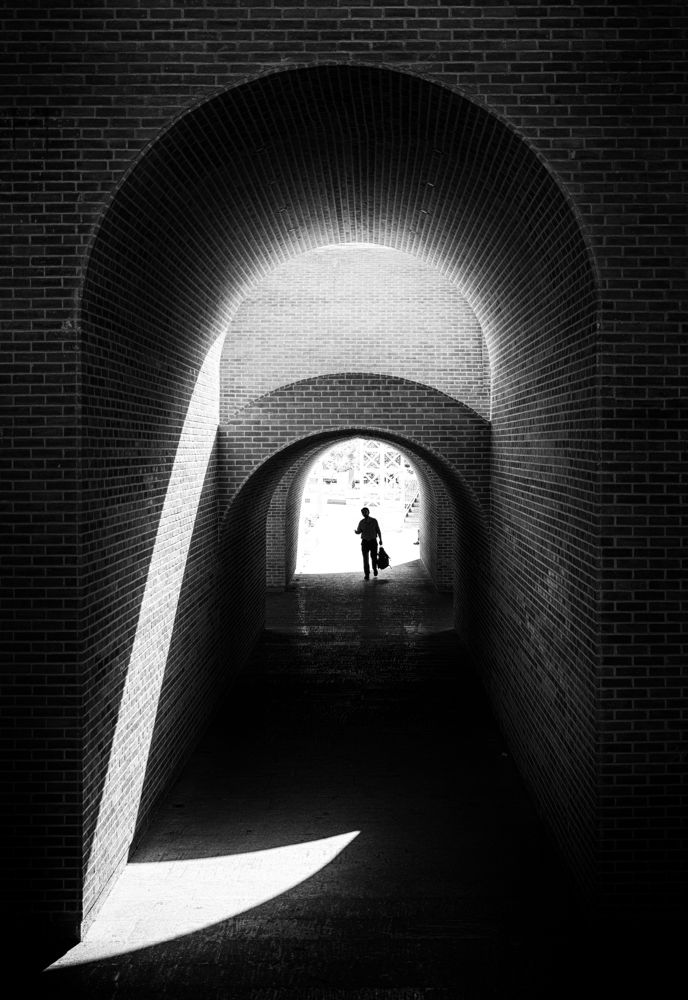 Фотография автора محمودرضا نورایی