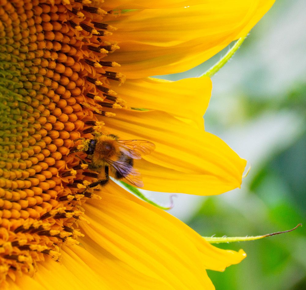 Photograph by Дубровин Николай