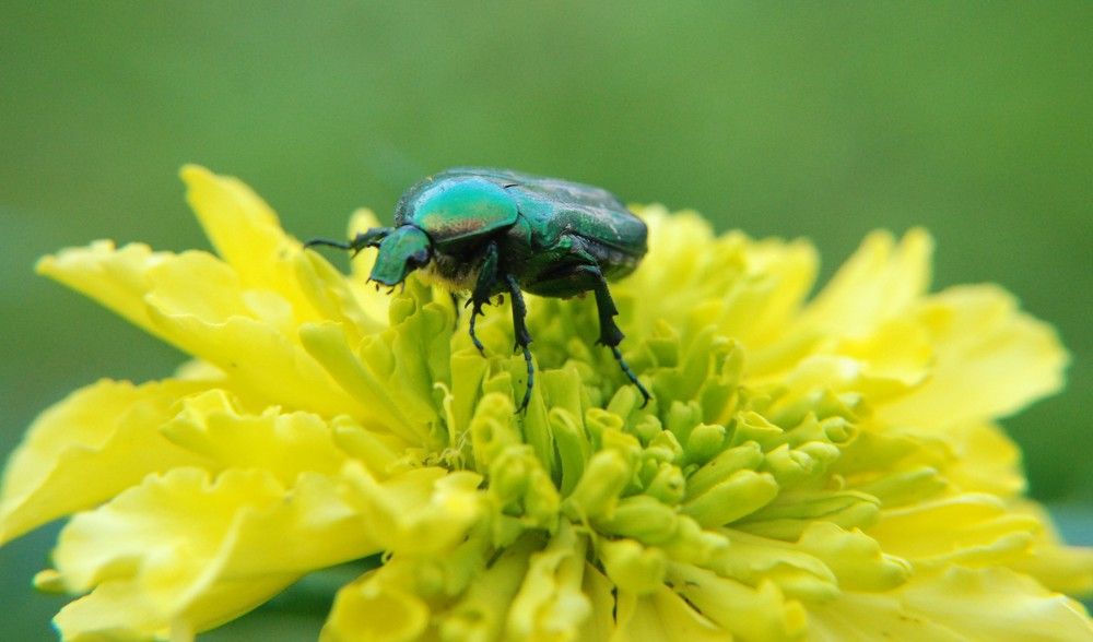 Photograph by Ася Батурина