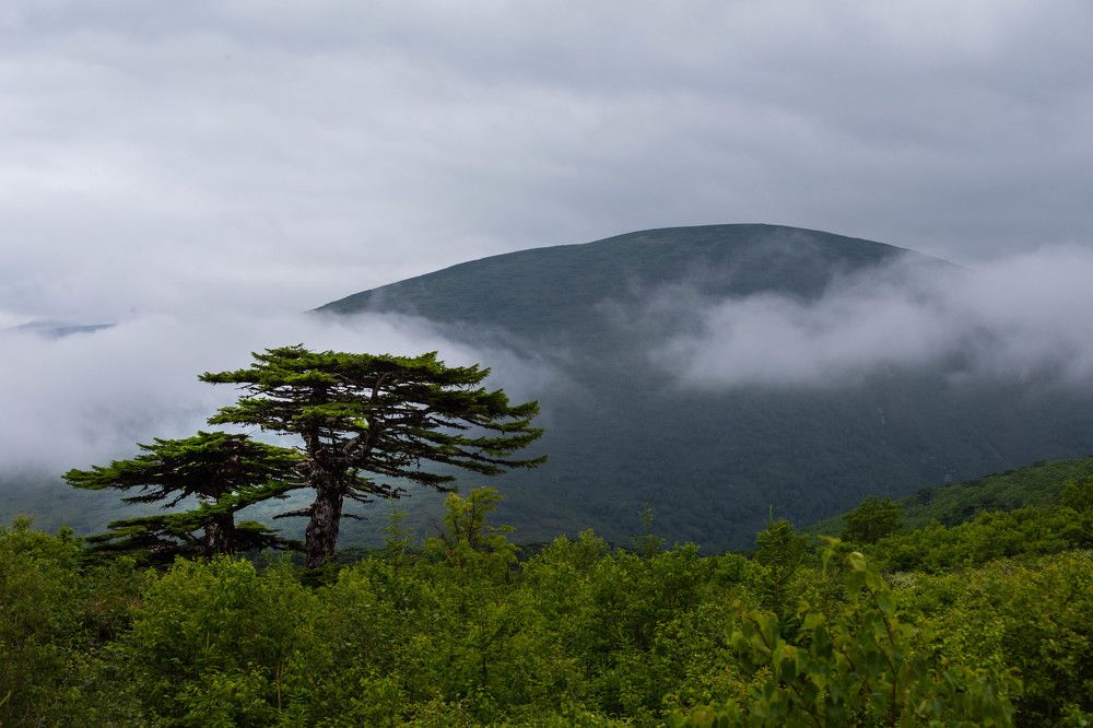 Photograph by Svetlana Porokhovnikova