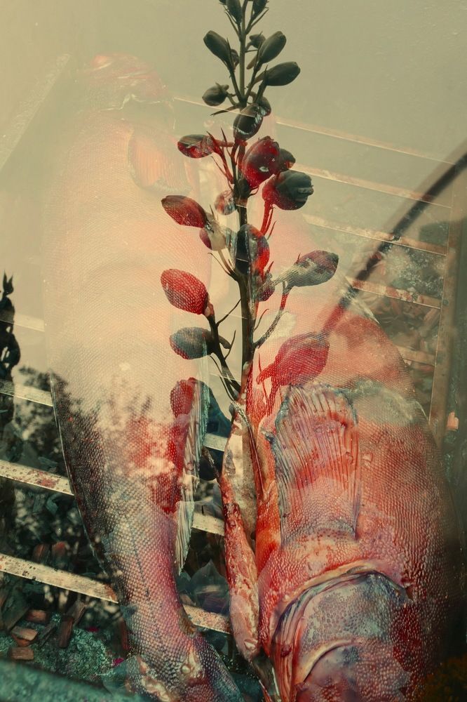 Photograph by Серёга Ануфриев