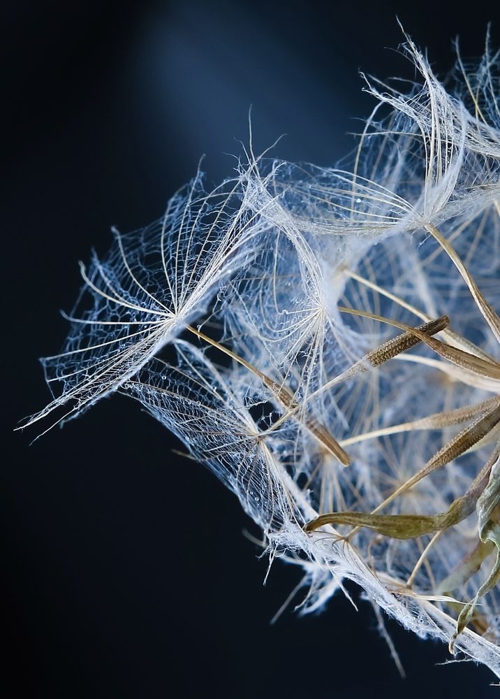 Photograph by Олеся Постнова