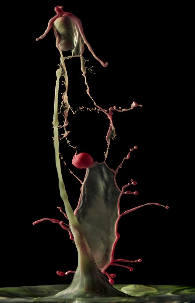 Photograph by Армашов-Тельник Григорий