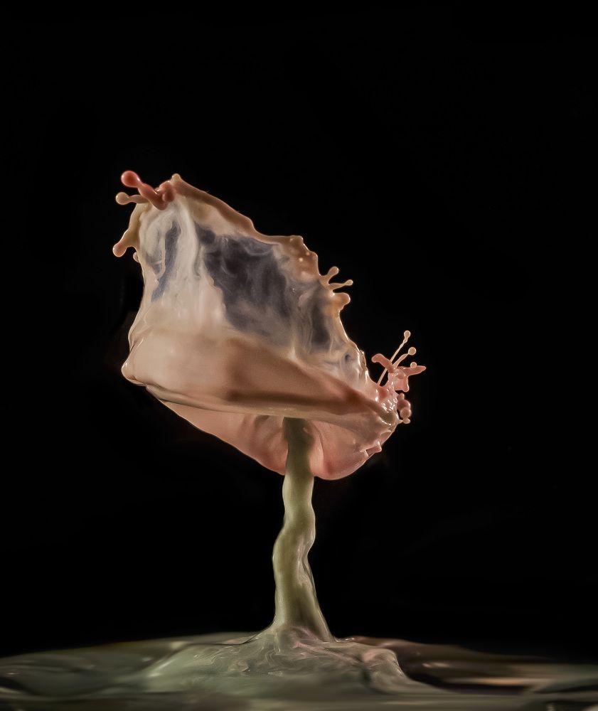 Photograph by Армашов-Тельник Григорий