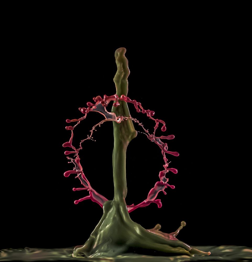 Photograph by Армашов-Тельник Григорий