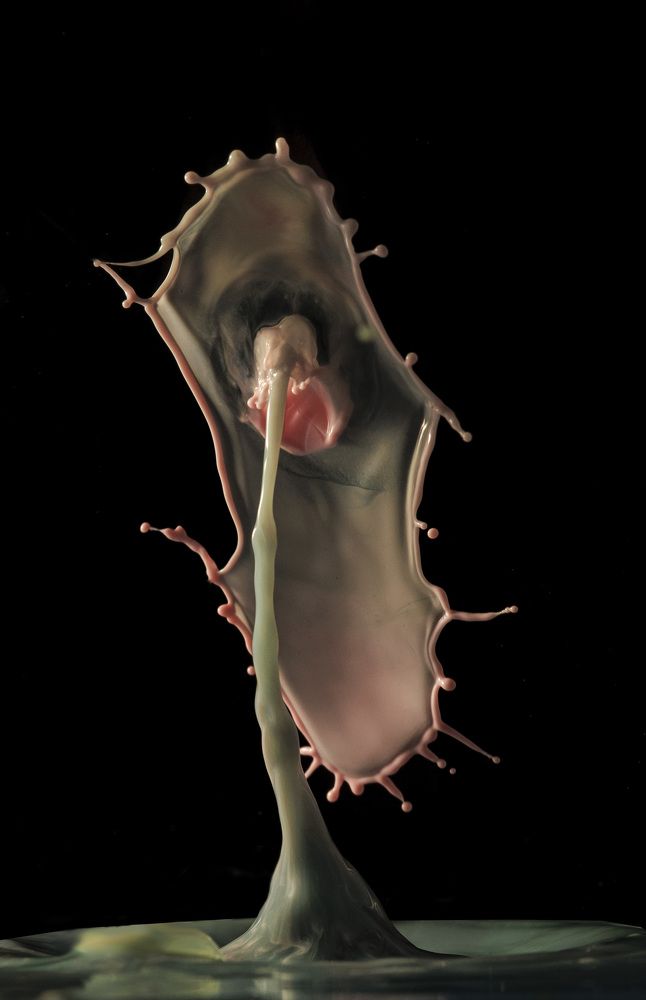 Photograph by Армашов-Тельник Григорий