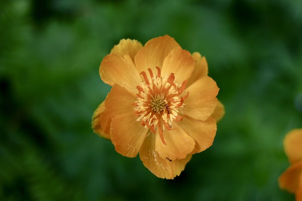 Photograph by Елена Секрет