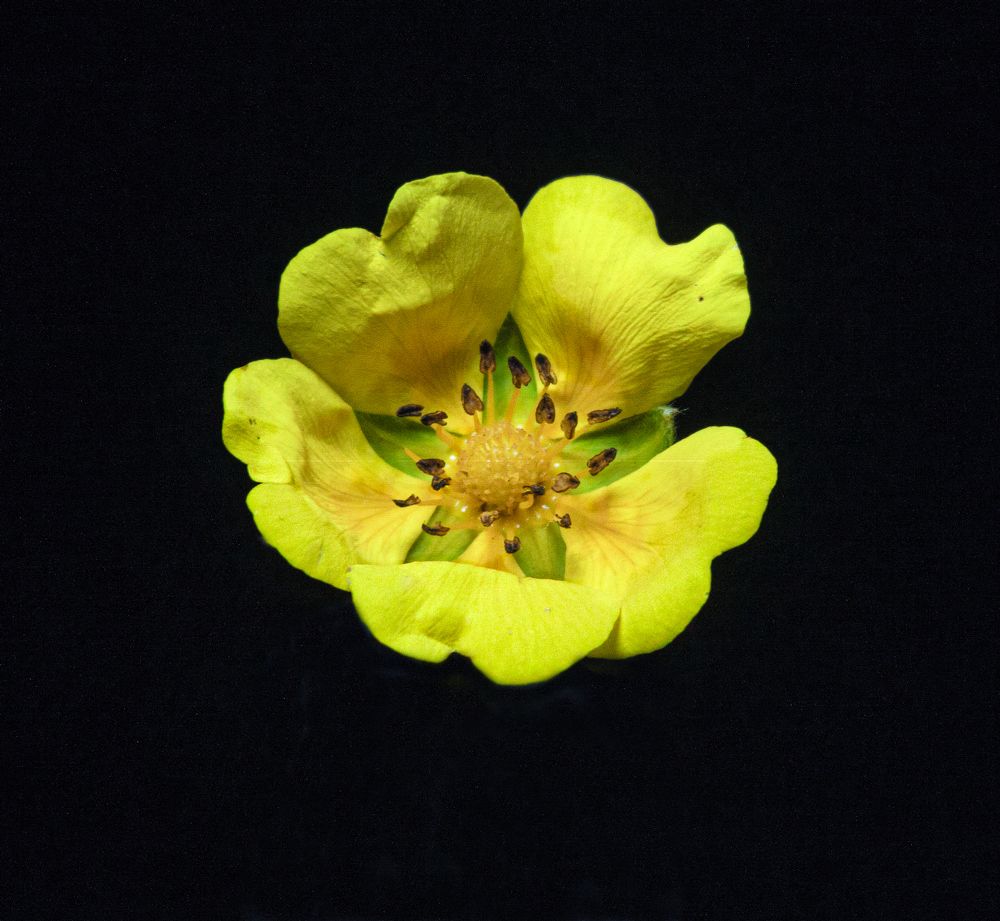 Photograph by Сергей Христинич