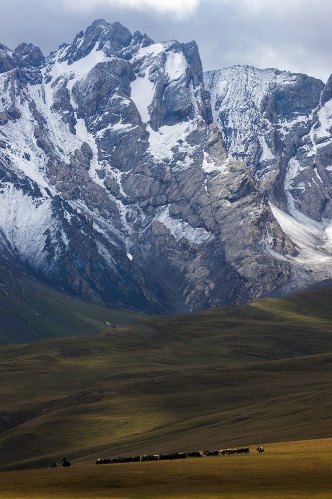 Photograph by Кирилл Мазазолин