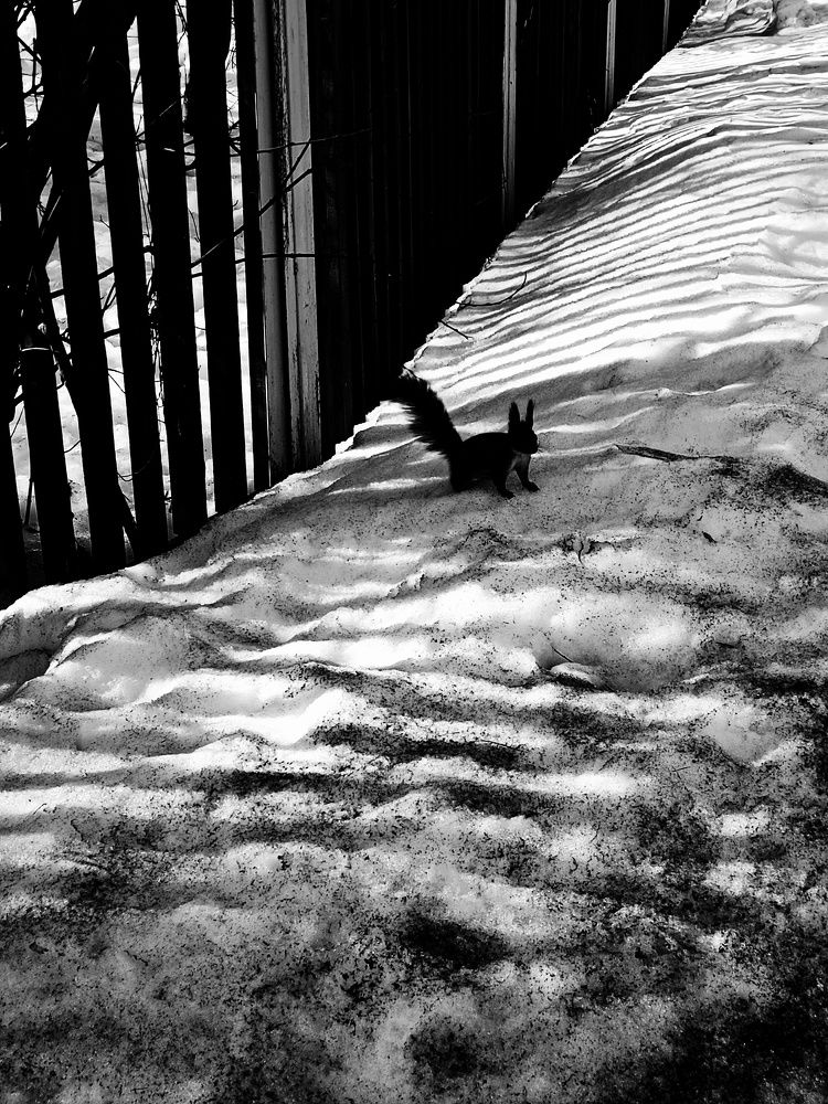 Photograph by Юлия Гришина