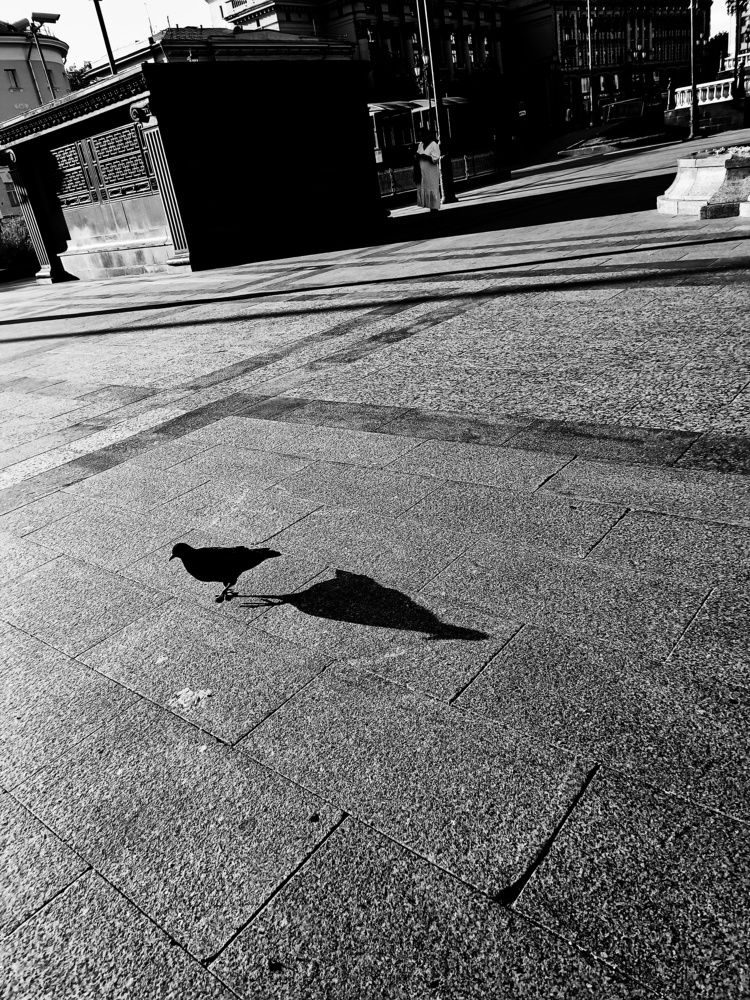 Photograph by Юлия Гришина