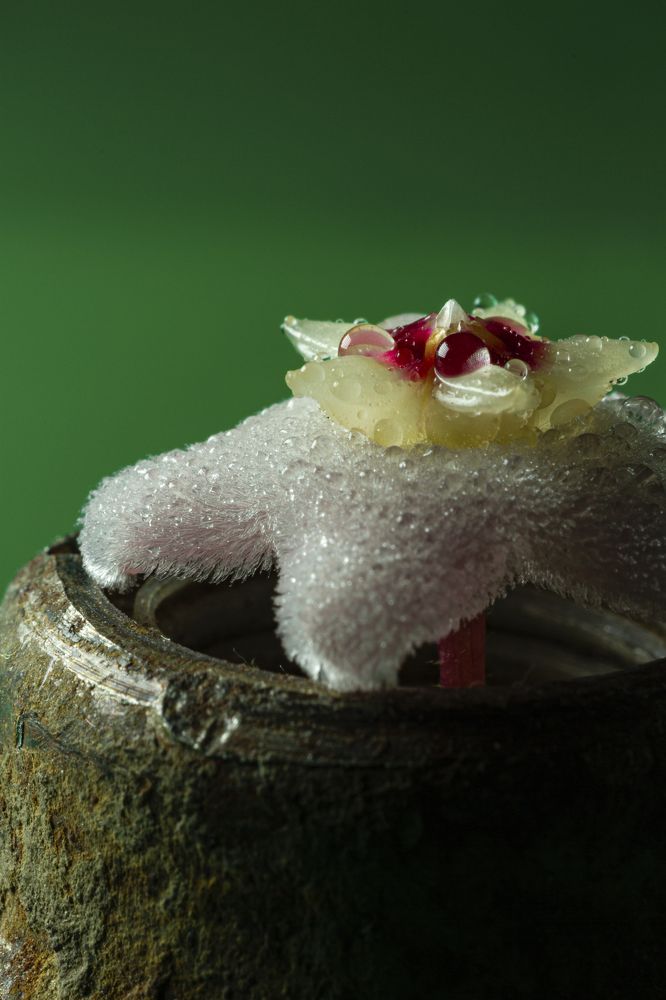 Photograph by Andrey Tarasyuk