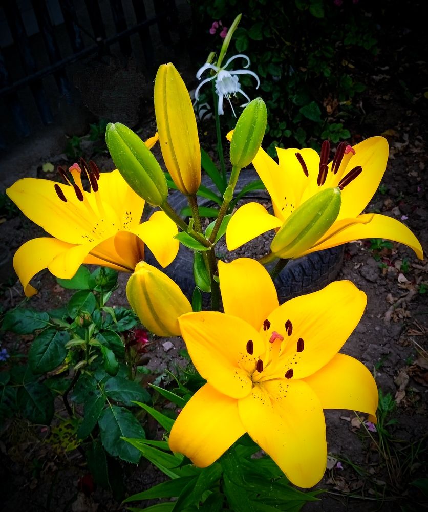 Photograph by Наталья Назаренко