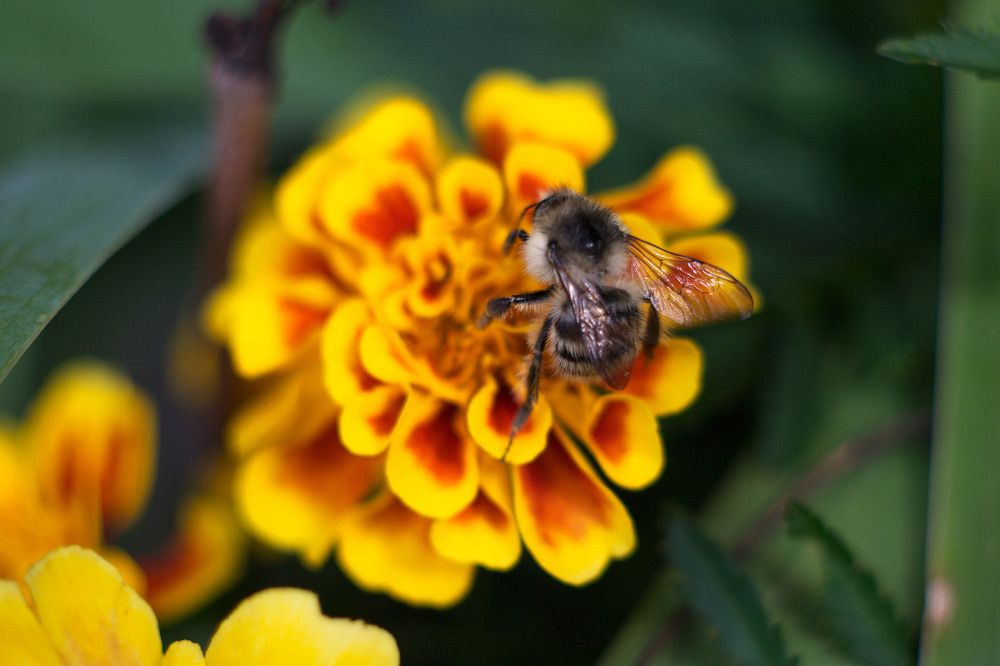 Photograph by Yroslava Veretina