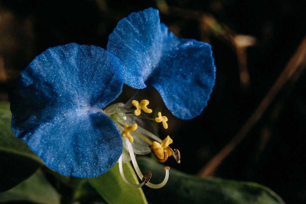 Фотография автора Delvis Romero