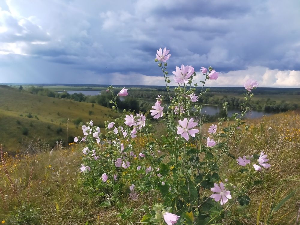 Photograph by Ольга Мартьянова