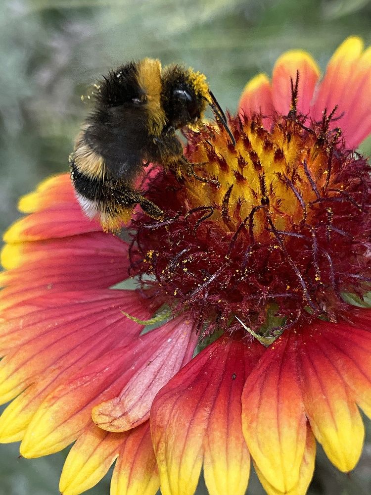 Photograph by Наталья Макарова