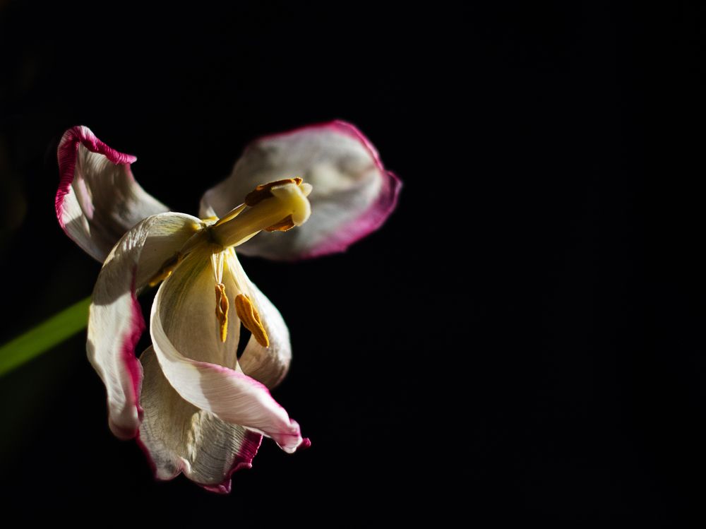 Фотография автора Дарина Фельдман