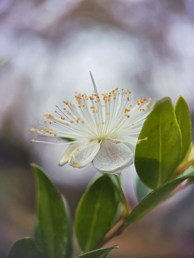 Photograph by Hannah Surji