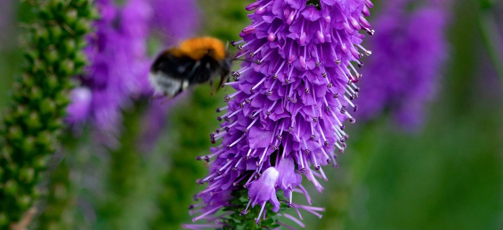 Photograph by Oleg Kozachok