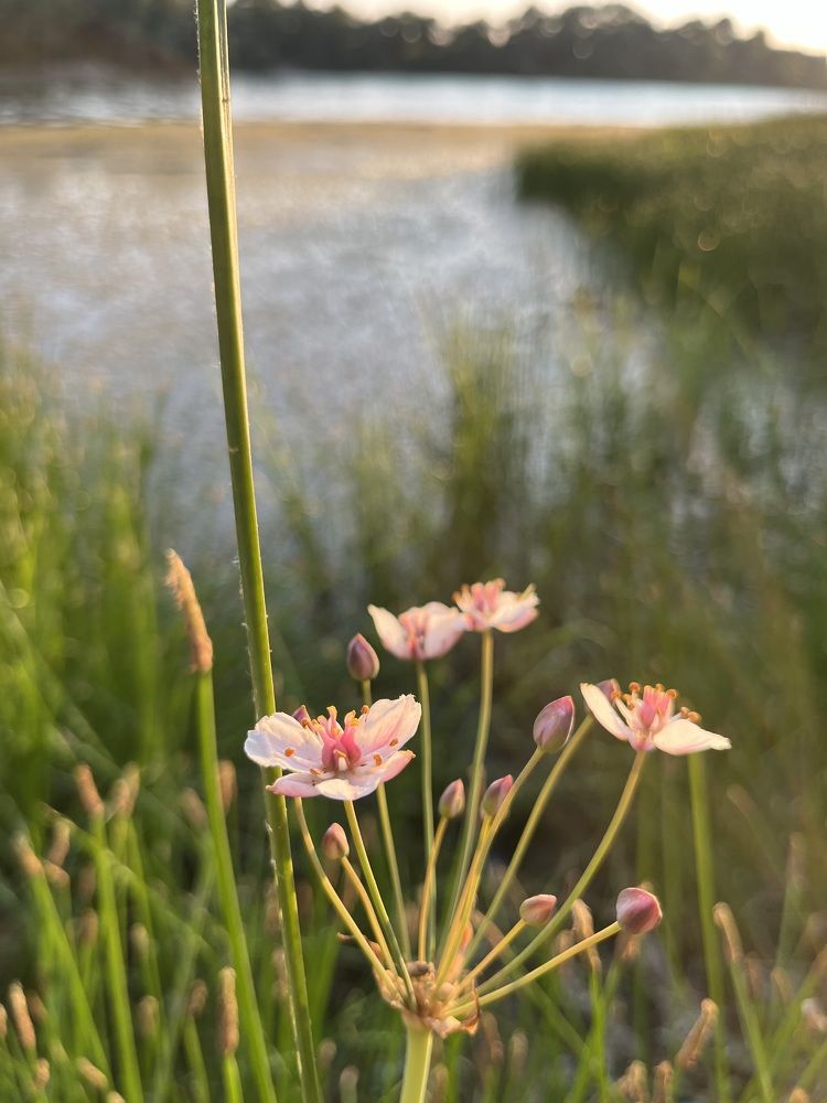 Photograph by Ника Клименко